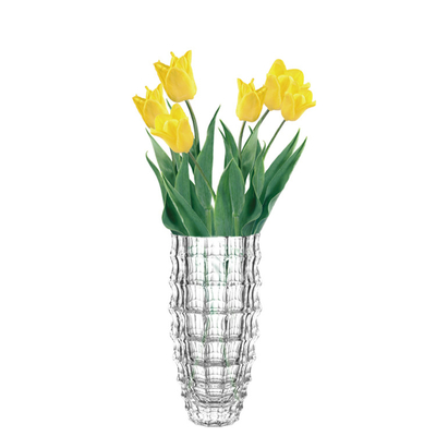 Transparent Glass Vase