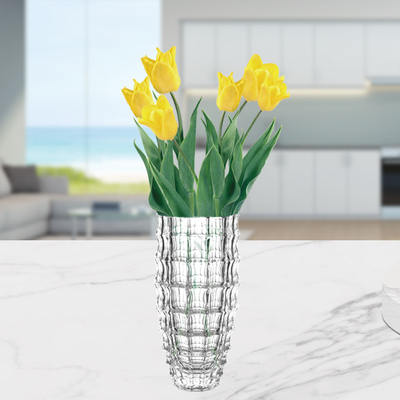 Transparent Glass Vase