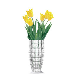 Transparent Glass Vase