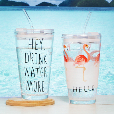 Top quality 455ML 16OZ decals with straw and silicone llid glass juice drinking jar